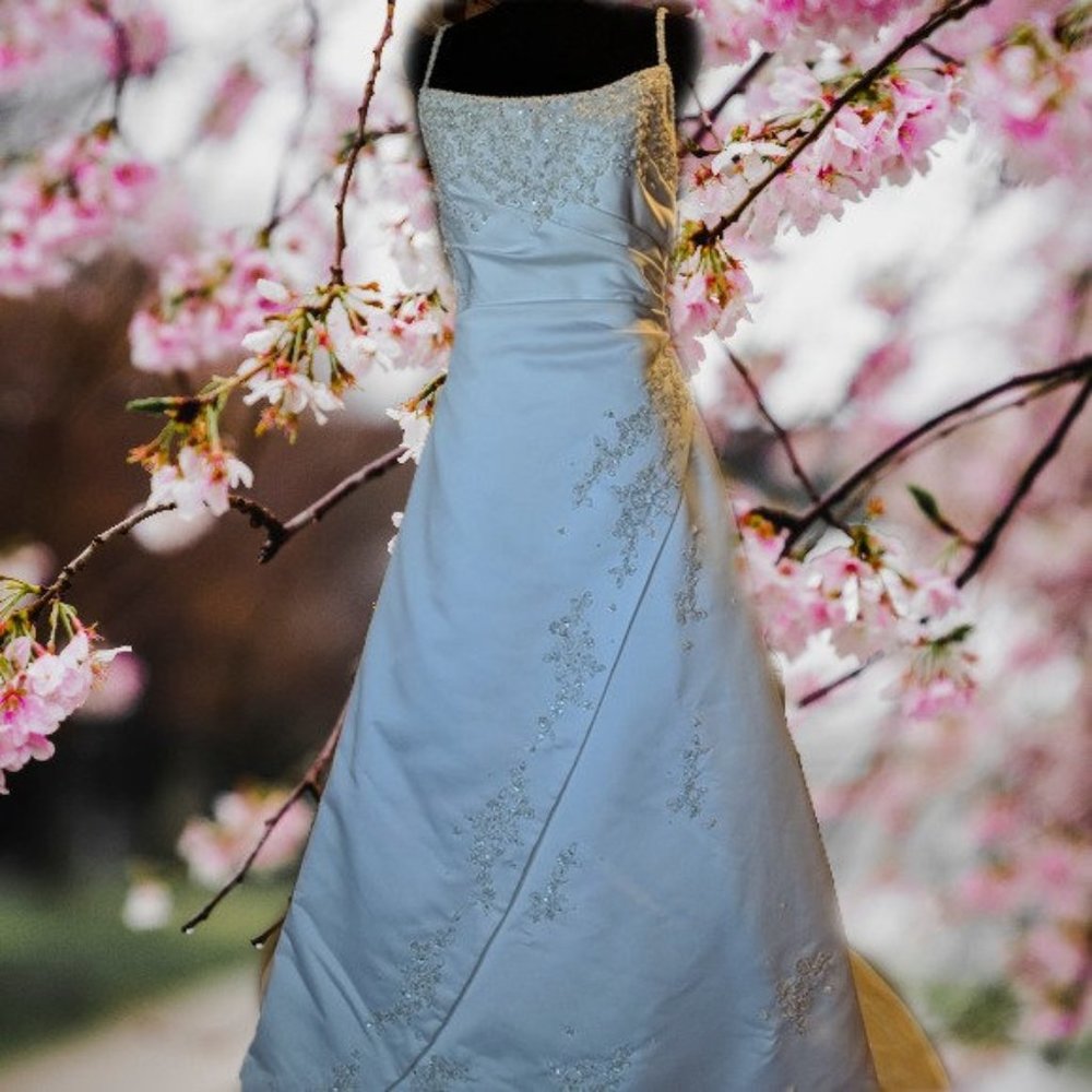 Christian Michele Aline Wedding Gown, Size 14